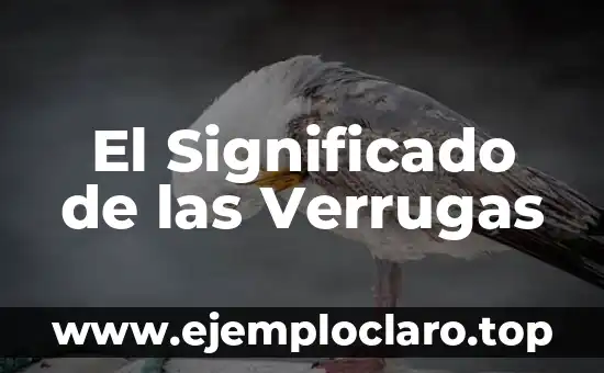 Tener Cargo de Conciencia Significado 7 El Significado de las Verrugas