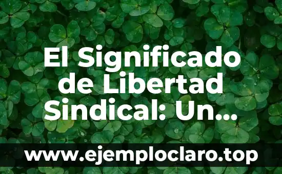 El Significado de Libertad Sindical: Un Derecho Fundamental