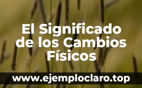 El Significado de los Cambios Físicos