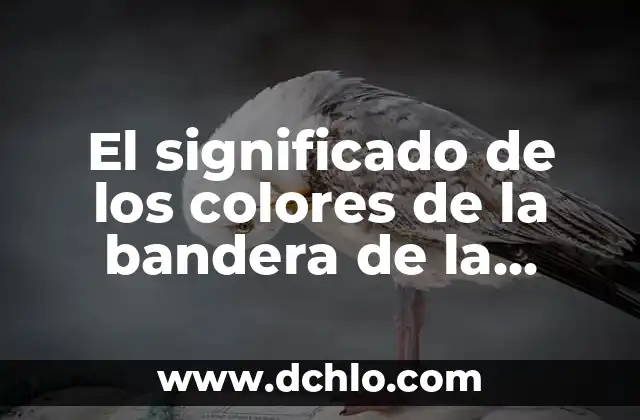 Significado e Imágenes de Huitzuco: Un Viaje por Guerrero 7 El significado de los colores de la bandera de la India