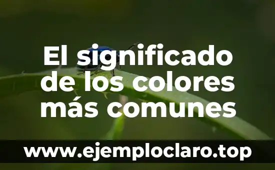significado de spiner 8 El significado de los colores más comunes
