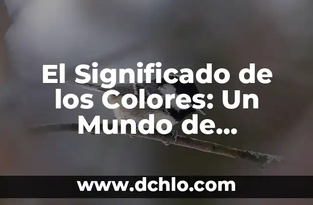 El Significado de Ser Emotivo: Descubriendo la Profundidad de Nuestras Emociones 5 El Significado de los Colores: Un Mundo de Emociones y Simbolismos