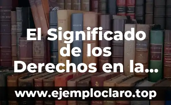 El Significado de los Derechos en la Justicia