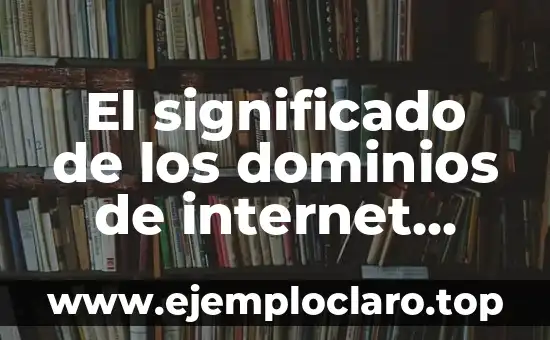 El significado de los dominios de internet según Wikipedia