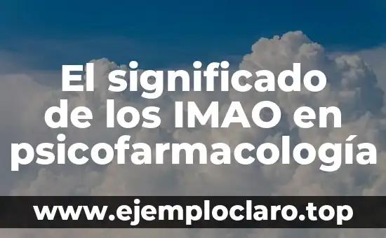 El Significado de Insertidumbre en Psicología 3 El significado de los IMAO en psicofarmacología