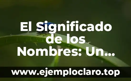 El Significado de los Nombres: Un Enfoque en Edmar