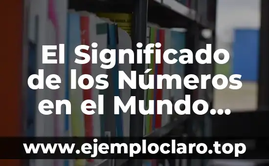El Significado de los Números en el Mundo del Motocross