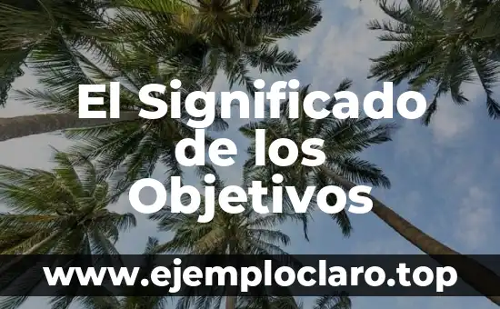 Buscar el Significado de la Palabra Justicia 5 El Significado de los Objetivos