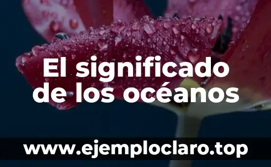 Buscar el Significado de la Palabra Justicia 7 El significado de los océanos