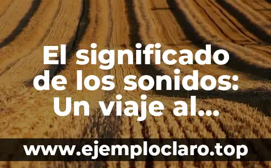 El significado de los sonidos: Un viaje al mundo de las vibraciones auditivas