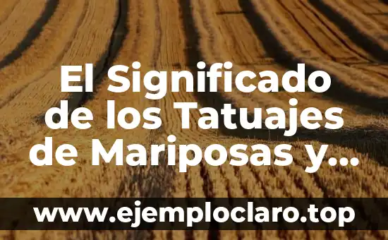 El Significado de los Tatuajes de Mariposas y Estrellas