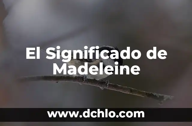 El Significado de Ser Universitario: Un Viaje de Descubrimiento y Crecimiento 3 El Significado de Madeleine