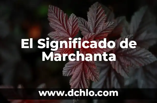 El significado etimológico de Juan Pablo: Un viaje a través de la historia 3 El Significado de Marchanta
