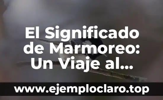 El Significado de Marmoreo: Un Viaje al Corazón de la Carne