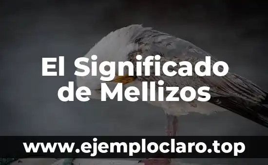 El Significado de Mellizos