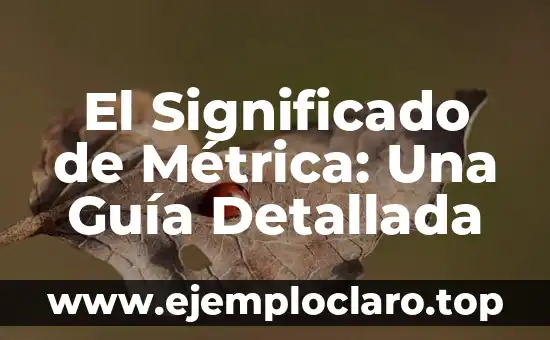El Significado de Métrica: Una Guía Detallada