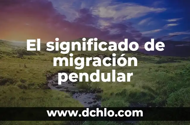 Migración y Significado de Geo 4 El significado de migración pendular