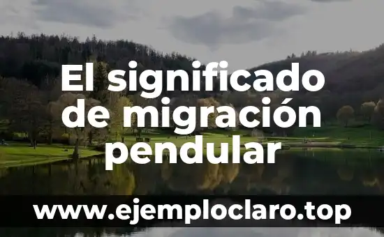 Migración y Significado de Geo 4 El significado de migración pendular