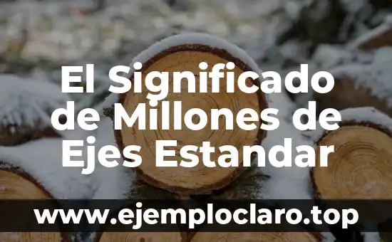 El Significado de Millones de Ejes Estandar