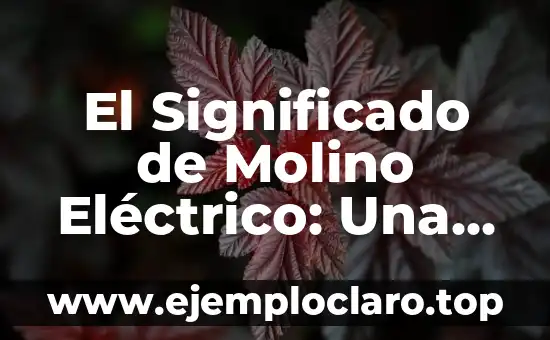 El Significado de Molino Eléctrico: Una Herramienta Esencial en la Cocina Moderna