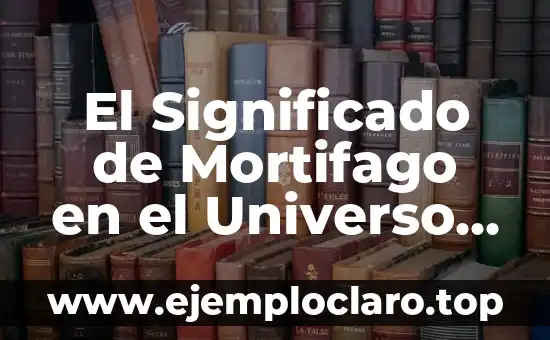 El Significado de Mortifago en el Universo de Harry Potter