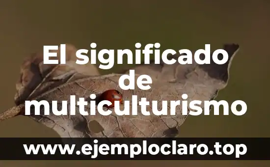Expresiones de Paraguay y su significado: Un viaje cultural 6 El significado de multiculturismo