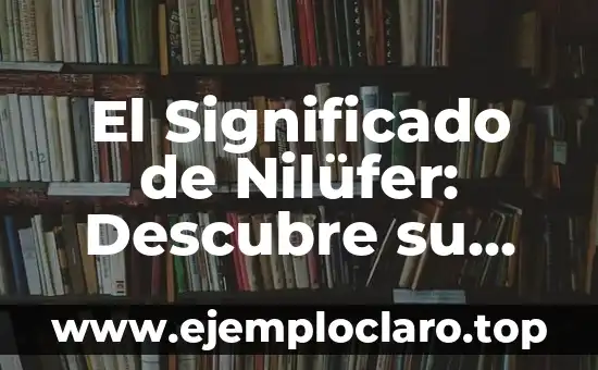 El Significado de Nilüfer: Descubre su Origen y Simbolismo