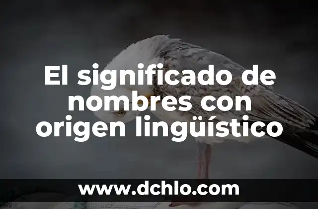 Significado de Soplamocos 3 El significado de nombres con origen lingüístico