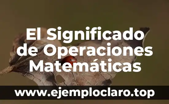El Concepto de Medida en Matemáticas 3 El Significado de Operaciones Matemáticas