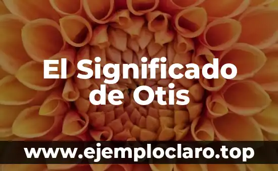 El Significado de Otis