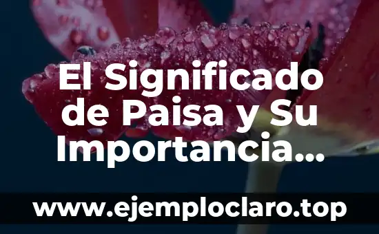 El Significado de Paisa y Su Importancia Cultural