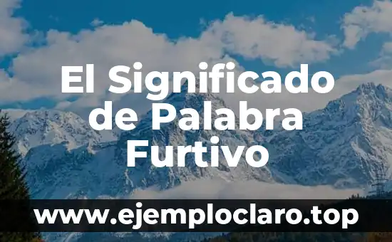 El significado de palabra frenética 7 El Significado de Palabra Furtivo