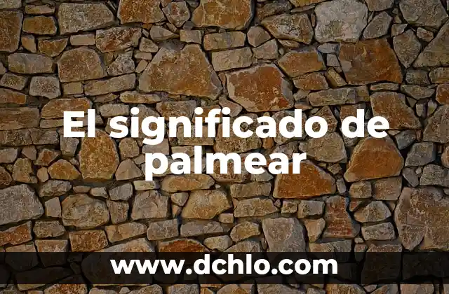 ¿Cuál es el significado de Panda? 7 El significado de palmear