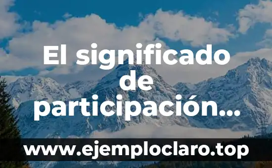 Aritmética y el Significado de los Números 8 El significado de participación electoral