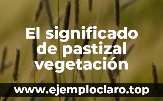 Aritmética y el Significado de los Números 7 El significado de pastizal vegetación