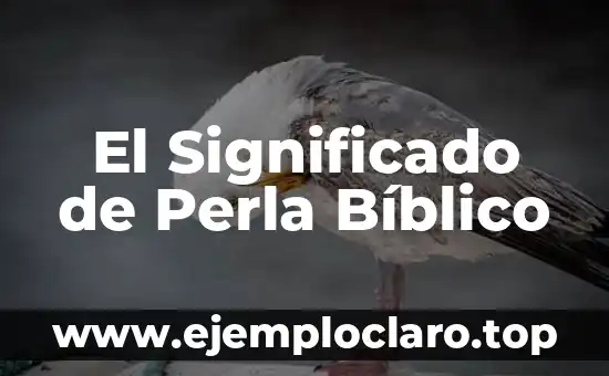 Ver el Significado de Perla: Descubre el Misterio tras esta Joya Natural 4 El Significado de Perla Bíblico