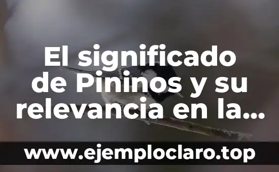 Palabras con significado de naturaleza: Un viaje al corazón del lenguaje ambiental 8 El significado de Pininos y su relevancia en la naturaleza