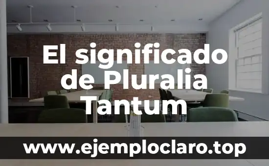 Aritmética y el Significado de los Números 4 El significado de Pluralia Tantum