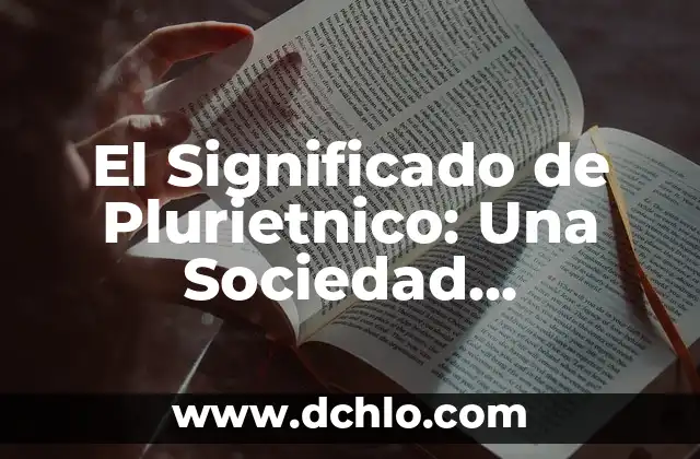 El Rol de la Casamentera en la Sociedad 4 El Significado de Plurietnico: Una Sociedad Multicultural