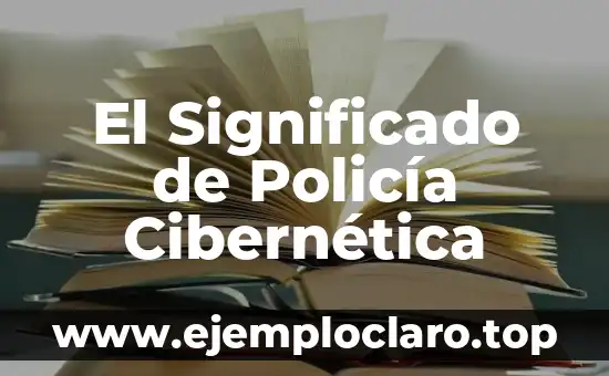 El Significado de Policía Cibernética