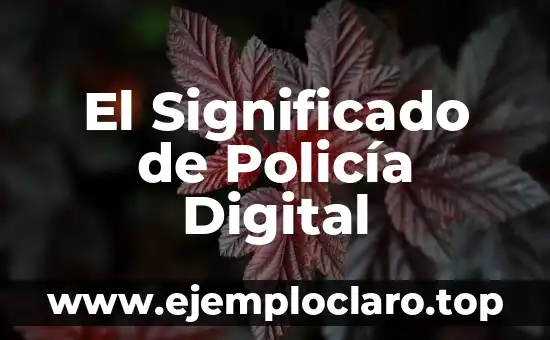 El Significado de Policía Cibernética 5 El Significado de Policía Digital