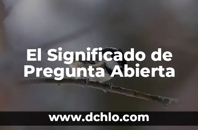Mentalidad Abierta Significado 3 El Significado de Pregunta Abierta