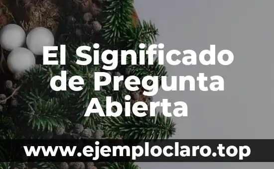 El Significado de Pregunta Abierta