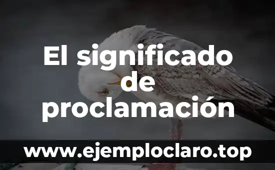 El significado de aguacateco: Un viaje a su origen y cultura 8 El significado de proclamación