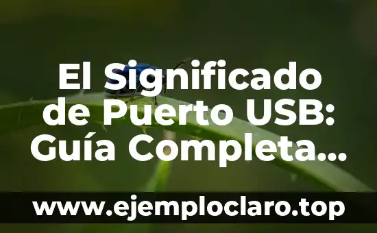 Cómo hacer un programador de memorias EEPROM USB 3 El Significado de Puerto USB: Guía Completa y Detallada