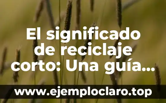 El significado de reciar indias: Un viaje a través de la historia y la cultura 4 El significado de reciclaje corto: Una guía esencial