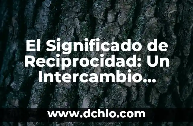 Intercambio y negociación de significado: El arte de compartir y construir sentidos 5 El Significado de Reciprocidad: Un Intercambio Mutuo