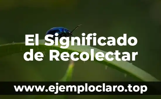 El Significado de Recolectar