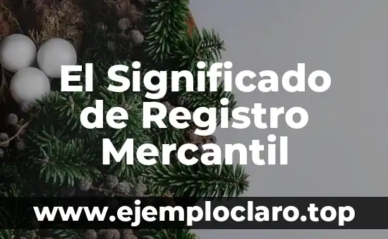 El significado de relato fantástico 7 El Significado de Registro Mercantil