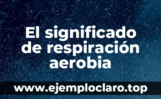 Satanizar: Descubre su Significado y Orígenes en el Diccionario 8 El significado de respiración aerobia